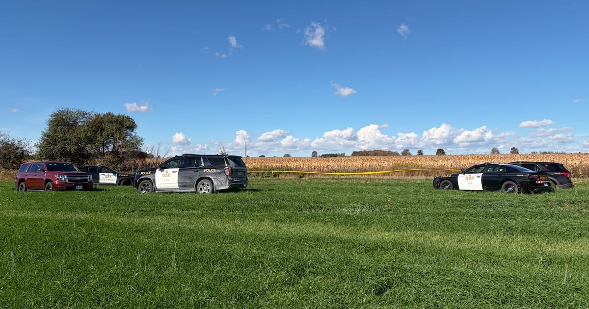 Two people dead after small plane crashes near Fergus, Ont.
