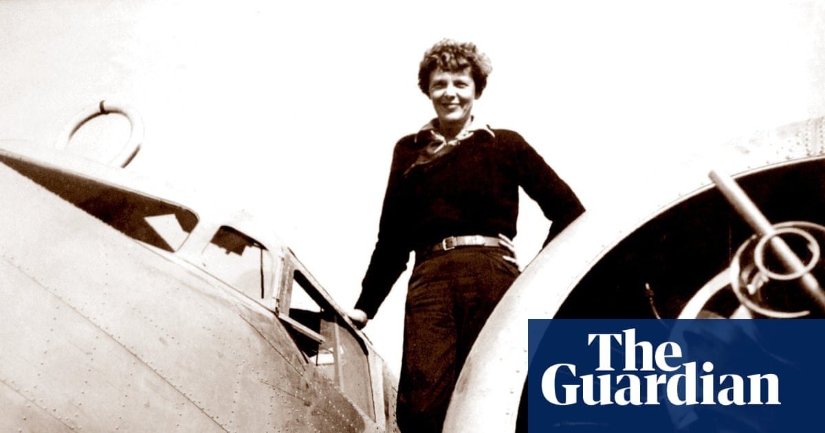 Is it a plane or a tree? Amelia Earhart expedition aims to solve mystery of disappearance