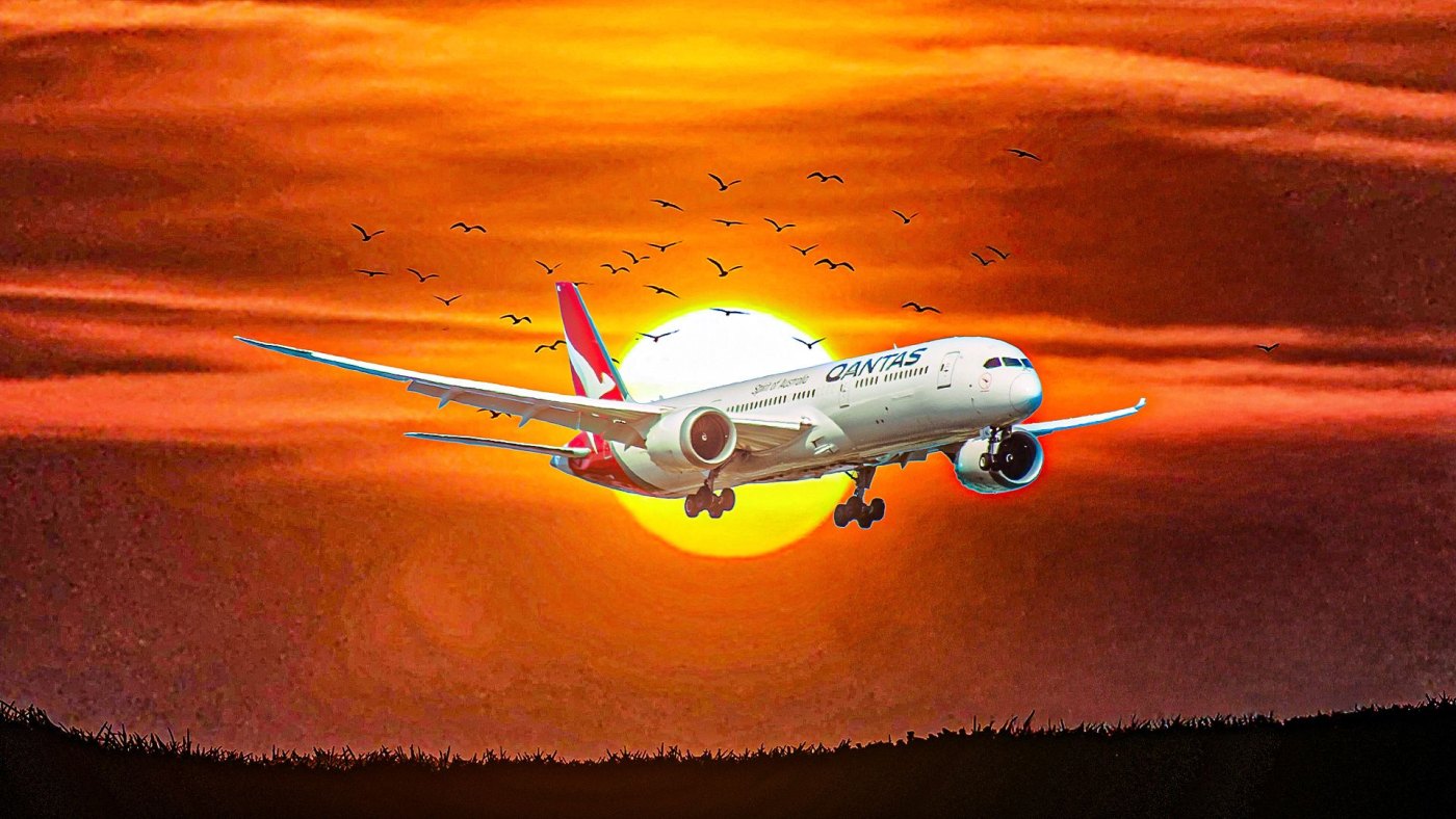 Bedbugs Infest Qantas Boeing 787, Forcing Flight Cancellation