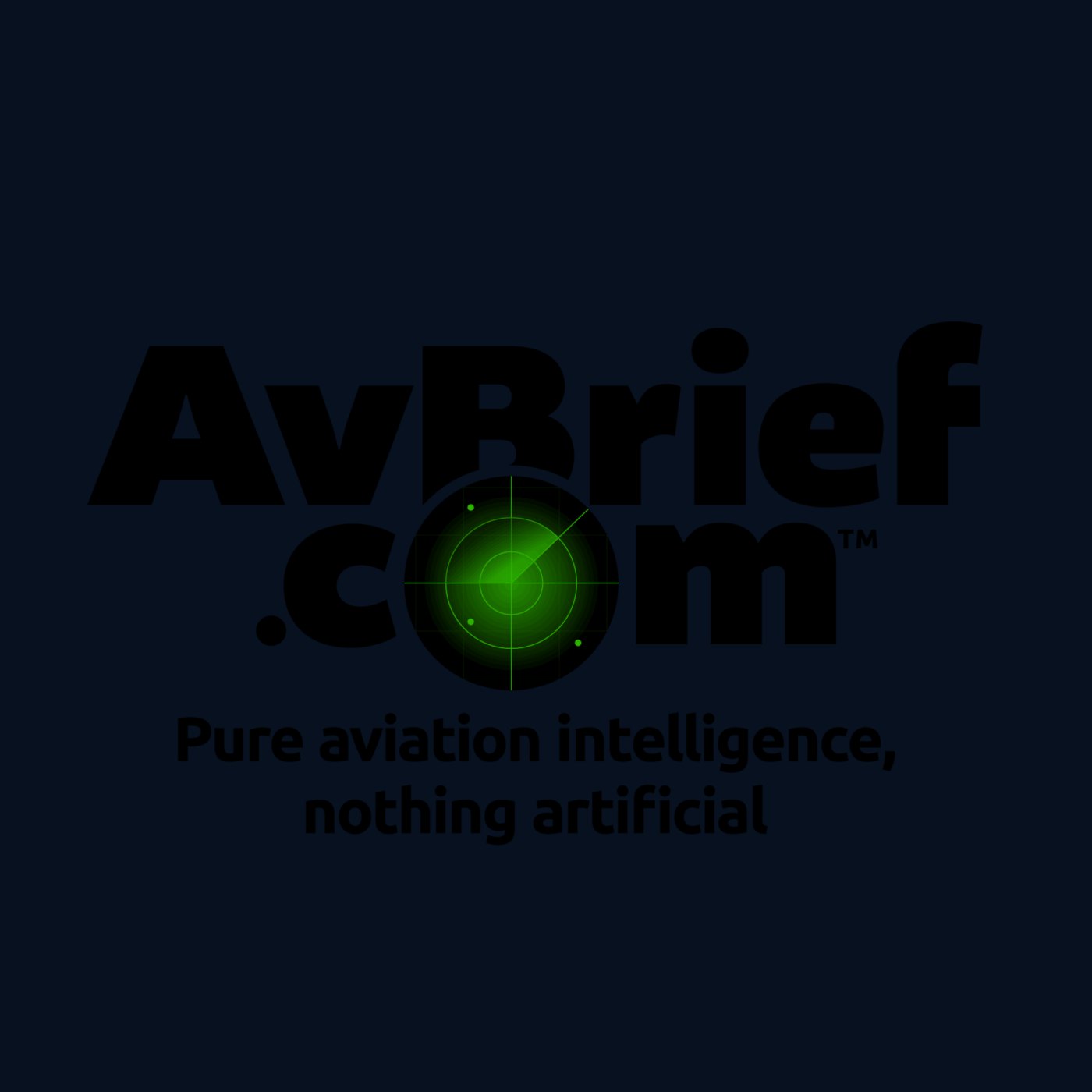 Pilot Incapacitation Could Have Had Several Causes