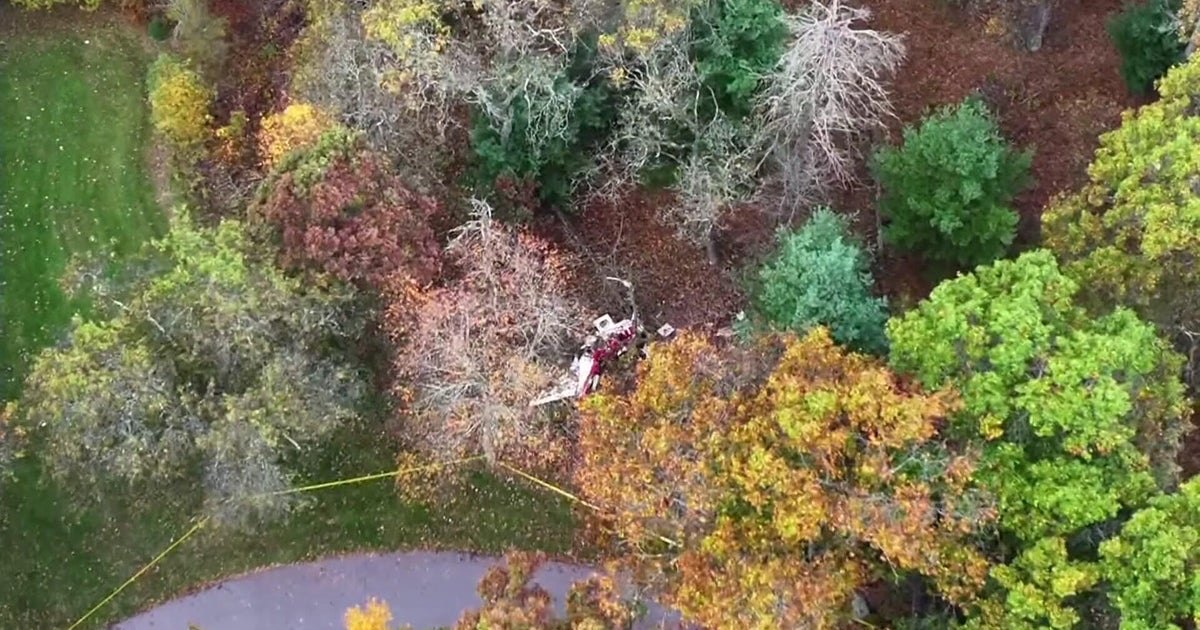 Husband of grandmother killed in Wisconsin Dells plane crash says "she just wanted to find her joy"