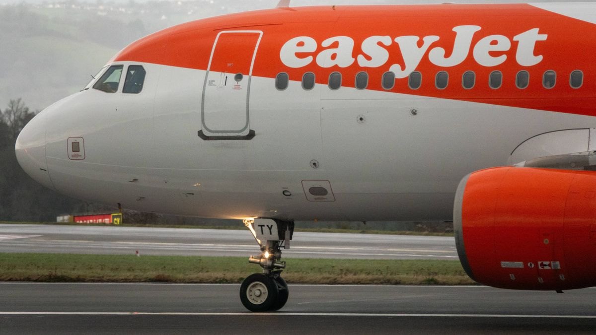 'Bird strike' forces easyJet flight to declare emergency and divert landing