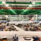 Cirium: global airliner fleet to near-double by 2045, supply remains constrained
