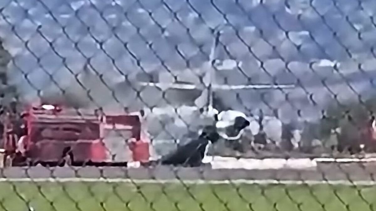 Private jet evacuated as smoke pours out and plane veers off runway during landing