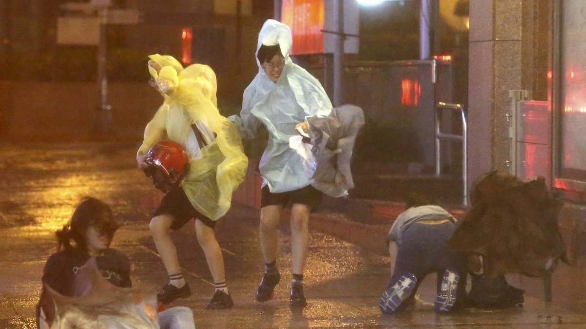 Taiwan shuts stock market, schools as Typhoon Champi nears; over 900 flights cancelled