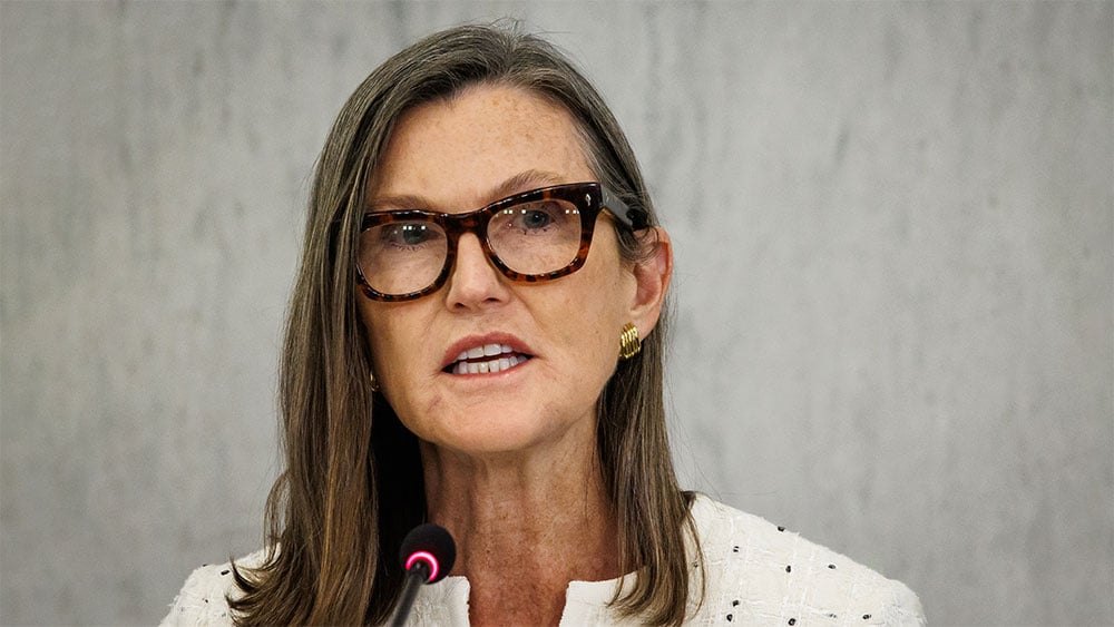 Cathie Wood Cashes Out AI Chip Stocks, Adds These Aviation Plays