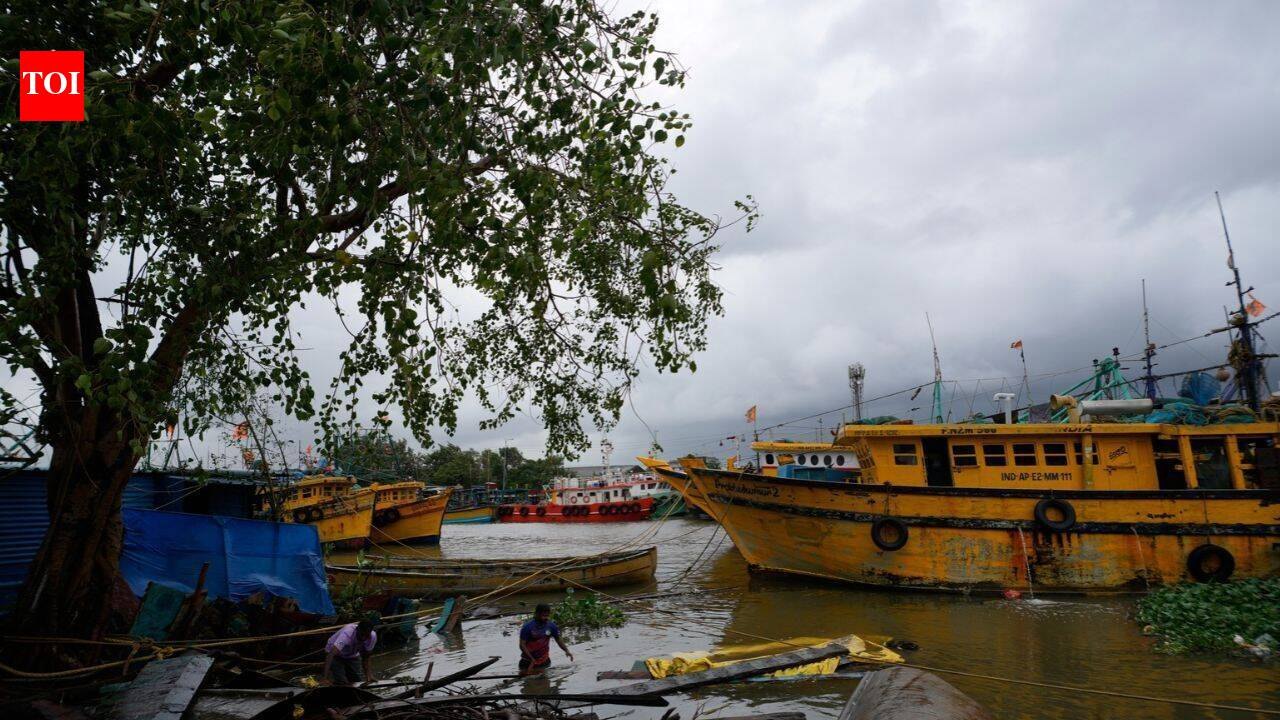 Cyclone Arnab: 2 dead, over 50 trains, several flights cancelled; Andhra, Odisha worst-hit
