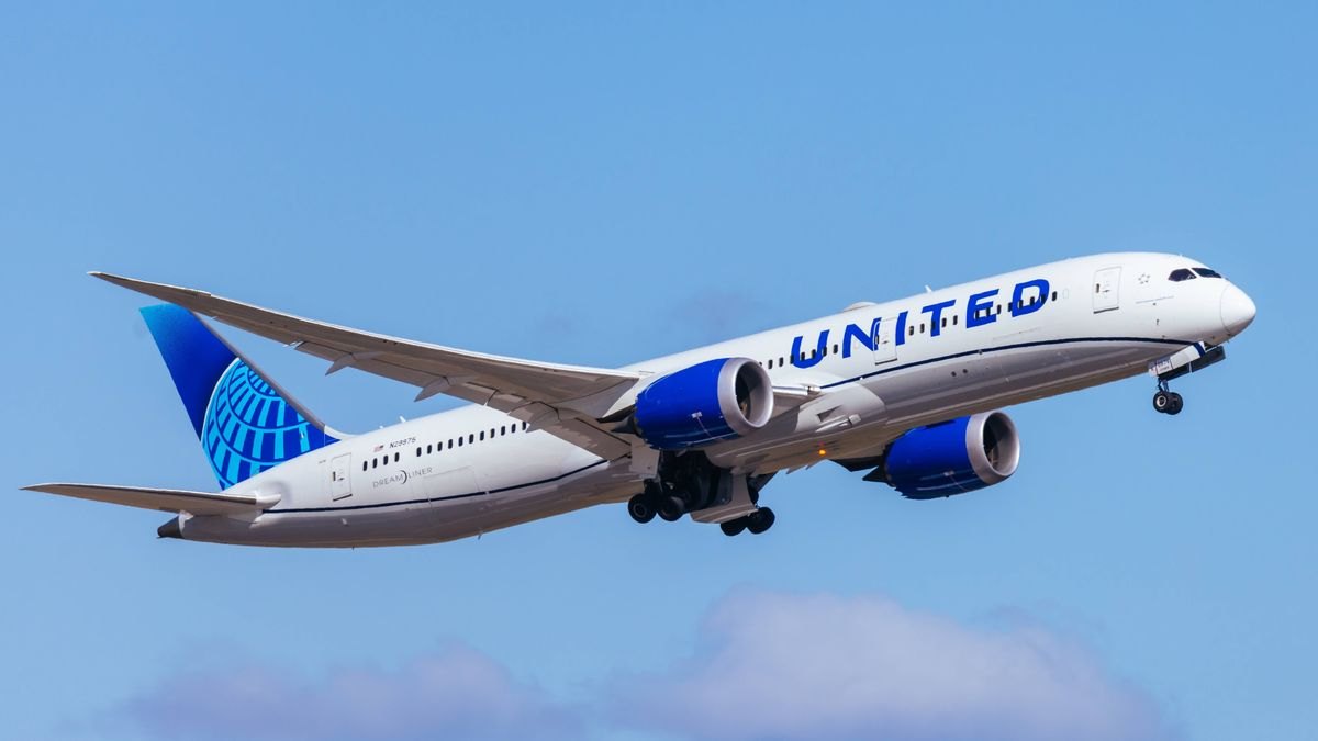 United Airlines flight diverted after hijack text passenger claims was drunken 'banter'