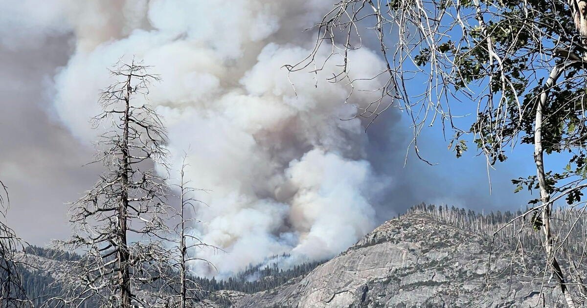 NTSB releases new details of deadly Yosemite National Park firefighter helicopter crash